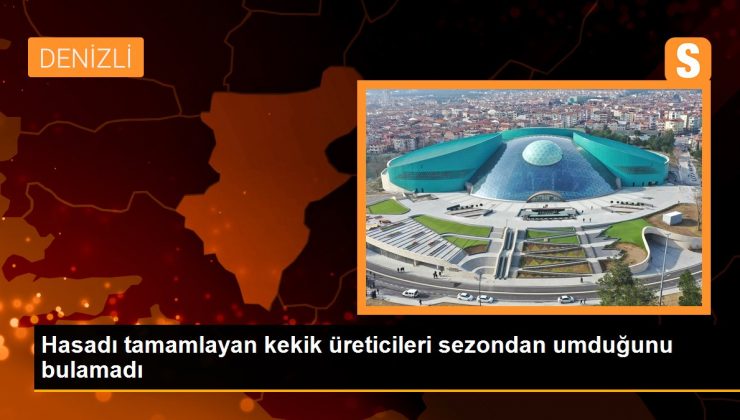 Hasadı tamamlayan kekik üreticileri sezondan umduğunu bulamadı