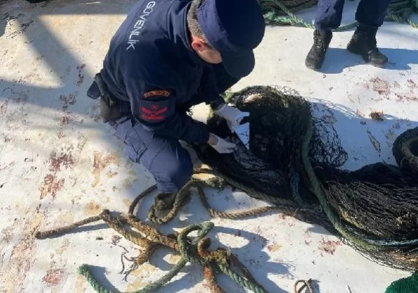 Kaçak trol avcılığı yapan 2 tekneye 231 bin 860 TL ceza kesildi