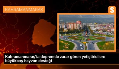 Kahramanmaraş’ta depremden etkilenen çiftçilere 130 büyükbaş hayvan dağıtıldı