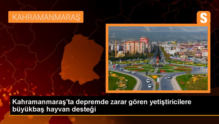 Kahramanmaraş’ta depremden etkilenen çiftçilere 130 büyükbaş hayvan dağıtıldı