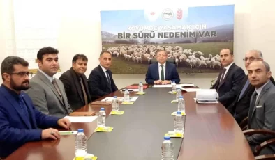 Kars’ta Küçükbaş Hayvancılık Projesi Uzatıldı