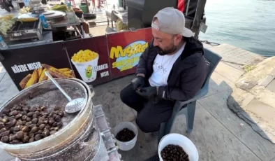 Kestane Fiyatları Uçtu: Çiği 200-300 Lira, Pişmişi 100 Gramı 50 Lira