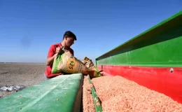 Konya’da 14 milyon metrekarelik arazide tarımsal üretim yapılıyor