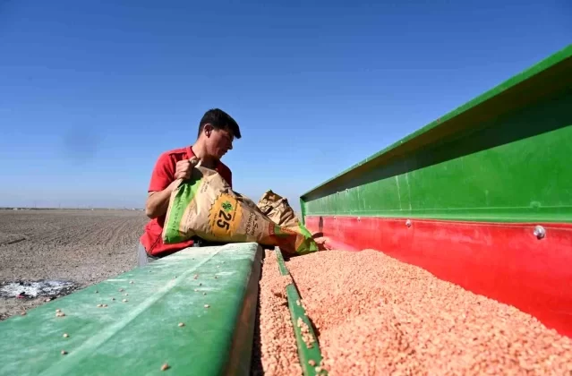 Konya’da 14 milyon metrekarelik arazide tarımsal üretim yapılıyor