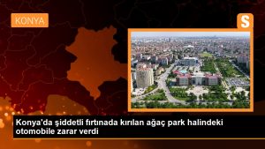 Konyada-siddetli-firtinada-kirilan-agac-park-halindeki-otomobile-zarar-verdi.jpg