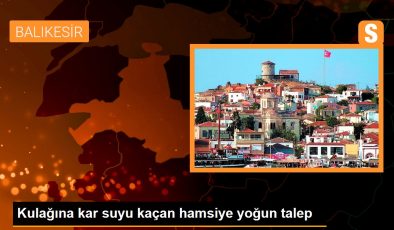 Kulağına kar suyu kaçan hamsiye yoğun talep