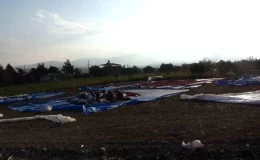 Maraş biberi üretimi tamamlandı – Son Dakika