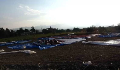 Maraş biberi üretimi tamamlandı – Son Dakika