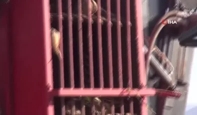 Muş’ta Şeker Pancarı Üretimi Kent Ekonomisine 2,5 Milyar TL Katkı Sağlayacak