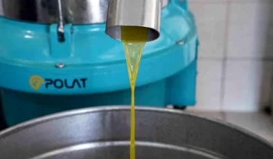 Seferihisar Belediyesi, Zeytinyağı Üretimine Başladı