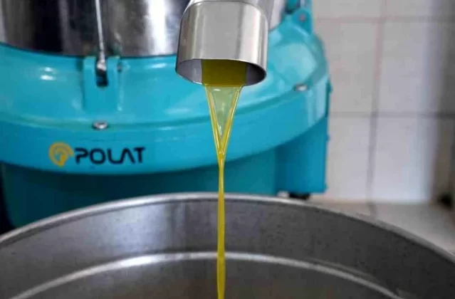 Seferihisar Belediyesi, Zeytinyağı Üretimine Başladı 1 Seferihisar Belediyesi, Zeytinyağı Üretimine Başladı