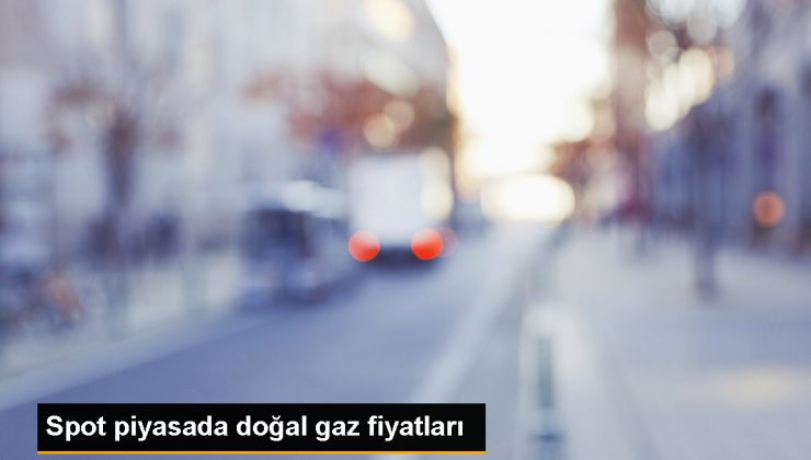 Spot Doğal Gaz Piyasasında Referans Fiyat 11 Bin 448 Lira Oldu