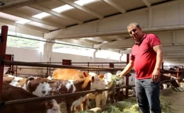 TKDK desteğiyle köyünde süt üretim çiftliği kurdu