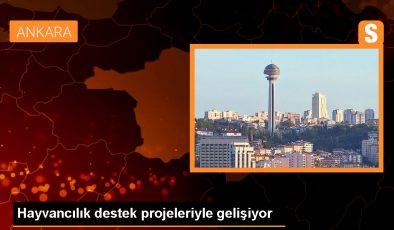 Tarım ve Orman Bakanlığı, Hayvancılık Projeleriyle Verimliliği Artırıyor