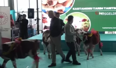 Vali Dallı’dan kadınlara özel çağrı: ‘Eşlerinizi memleketine geri döndürmek için ikna edin’