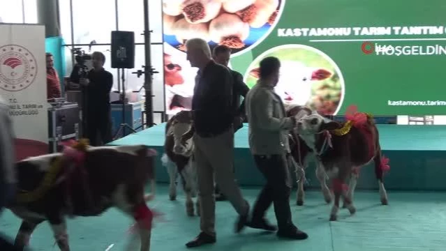 Vali Dallı’dan kadınlara özel çağrı: ‘Eşlerinizi memleketine geri döndürmek için ikna edin’