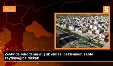 Zeytinde rekoltenin düşük olması bekleniyor, uzmanlar sahte zeytinyağına dikkat edilmesi çağrısında bulundu