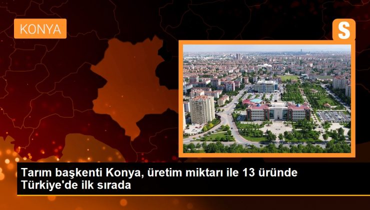 Tarım başkenti Konya, üretim miktarı ile 13 üründe Türkiye’de ilk sırada