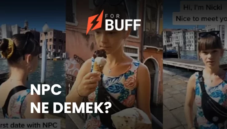 NPC Ne Demek, NPC Nedir?