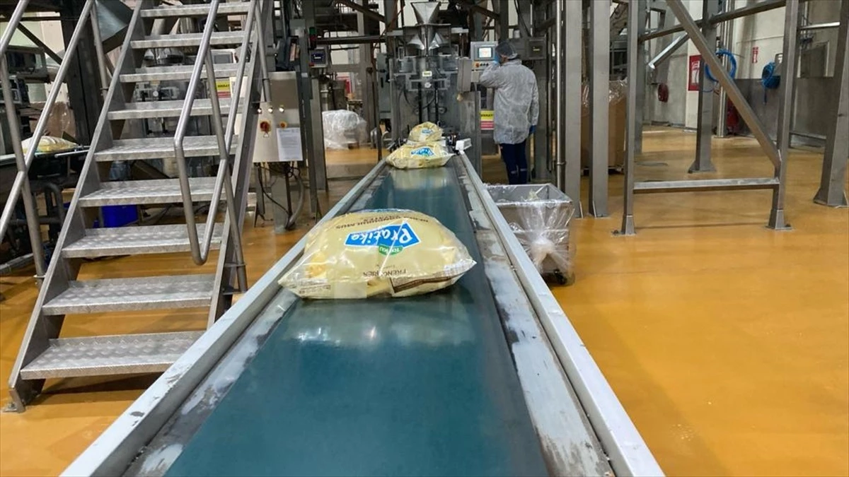 Konya’da Üretilen Patatesler Hem İhraç Ediliyor Hem de Elektrik Üretiminde Kullanılıyor