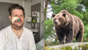 OnlyFans Ücretleri: Platformun Abonelik ve İçerik Ücretlendirme Politikaları