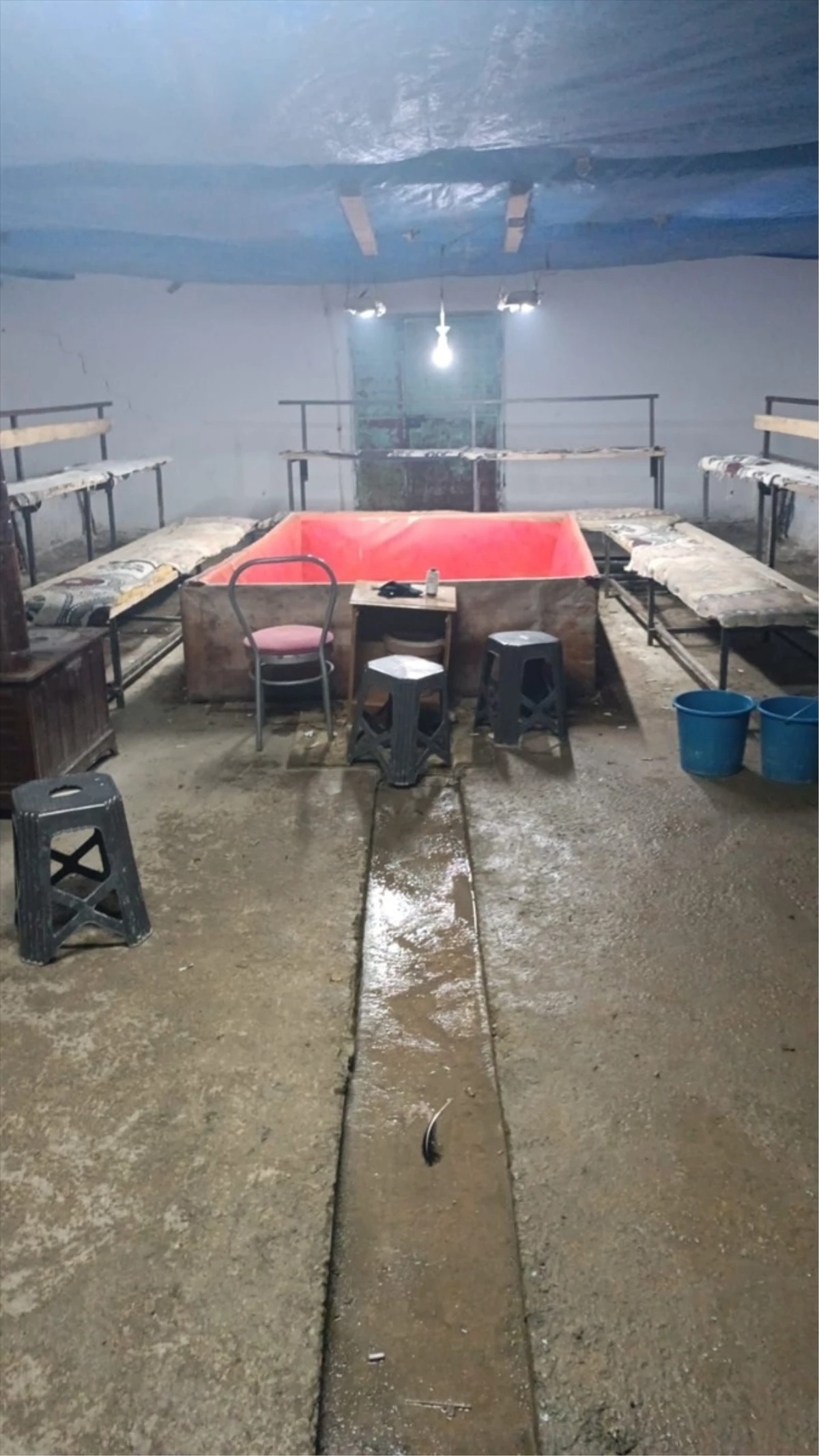 Konya’da çardakta horoz dövüşü yaptırırken yakalanan 9 kişi hakkında adli işlem başlatıldı