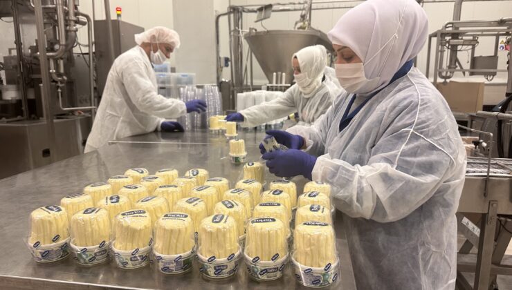 ÇİFTÇİ KURULUŞUNUN TESİSLERİNDE ÜRETİLEN SÜT VE SÜT ÜRÜNLERİ  15 ÜLKEYE İHRAÇ EDİLİYOR