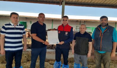 KONYA İL TARIM VE ORMAN MÜDÜRÜ ÇUMRA’DA BÜYÜKBAŞ HAYVANCILIK İŞLETMESİNİ ZİYARET ETTİ