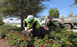 ÇUMRA BELEDİYESİ YEŞİL ALANLARDA BAKIM ÇALIŞMALARI SÜRÜYOR