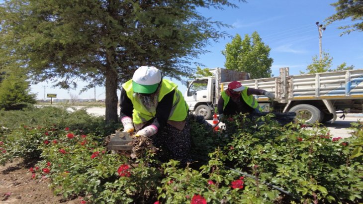 ÇUMRA BELEDİYESİ YEŞİL ALANLARDA BAKIM ÇALIŞMALARI SÜRÜYOR