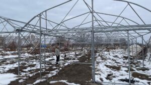 “KOP ile Yaz Seraları Gelişiyor Projesi” Kapsamında Çalışmalar Devam Ediyor