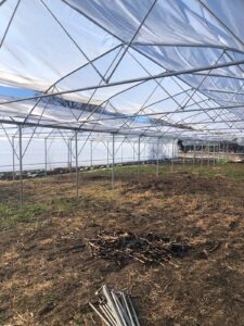 “KOP ile Yaz Seraları Gelişiyor Projesi” Kapsamında Çalışmalar Devam Ediyor