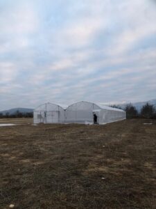“KOP ile Yaz Seraları Gelişiyor Projesi” Kapsamında Çalışmalar Devam Ediyor