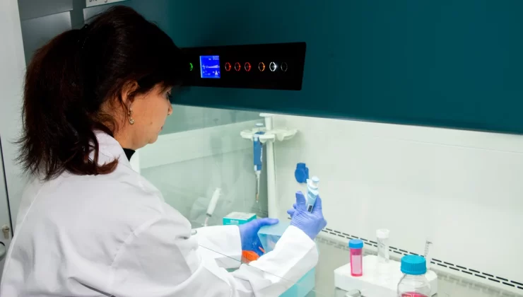 Antibiyotik Direnci ve Tavuk Vebasına Karşı İki Önemli Aşı Projesi Sürüyor