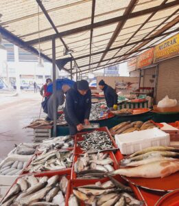 Beyşehir’de Su Ürünleri Denetimi Yapıldı