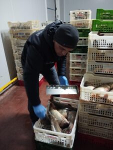 Beyşehir’de Su Ürünleri Denetimi Yapıldı