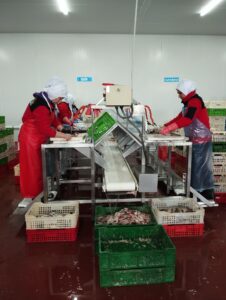 Beyşehir’de Su Ürünleri Denetimi Yapıldı 9 Beyşehir’de Su Ürünleri Denetimi Yapıldı