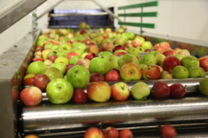 TORKU’dan Meyve Suyu Üretiminde Türkiye’de Bir İlk