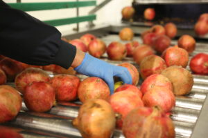 TORKU’dan Meyve Suyu Üretiminde Türkiye’de Bir İlk