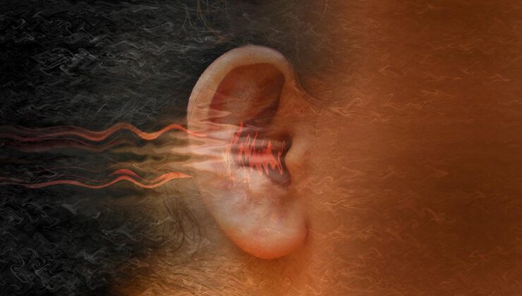 Gürültü Kirliliğinin Kalp Sağlığına Etkileri