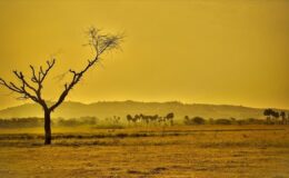 Küresel Isınmada Kritik Eşik: 2025 En Sıcak Yıllardan